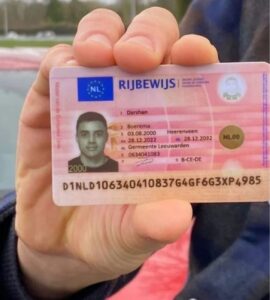 Nederlands rijbewijs online